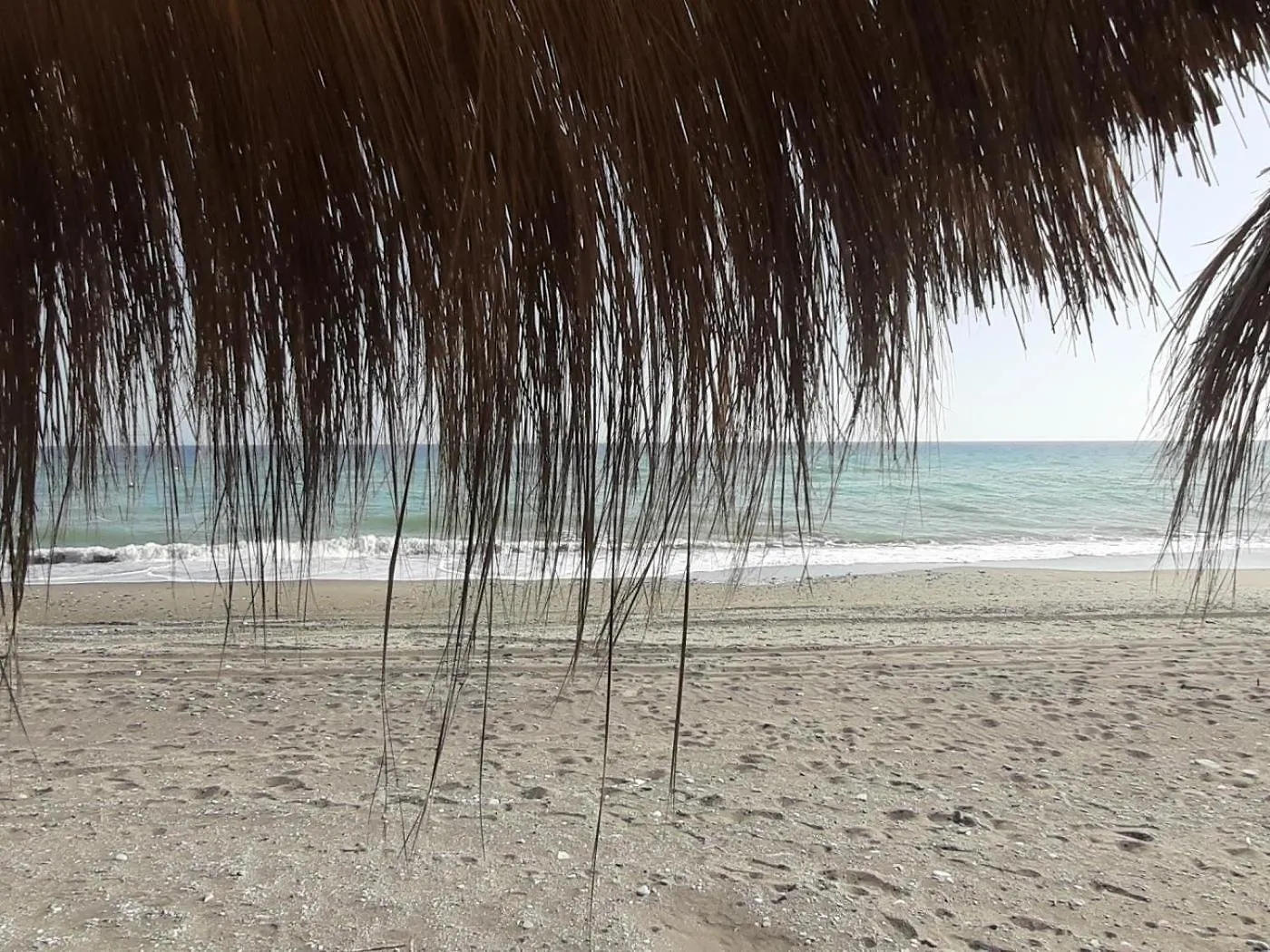 Laguna 7.5.9 Torrox